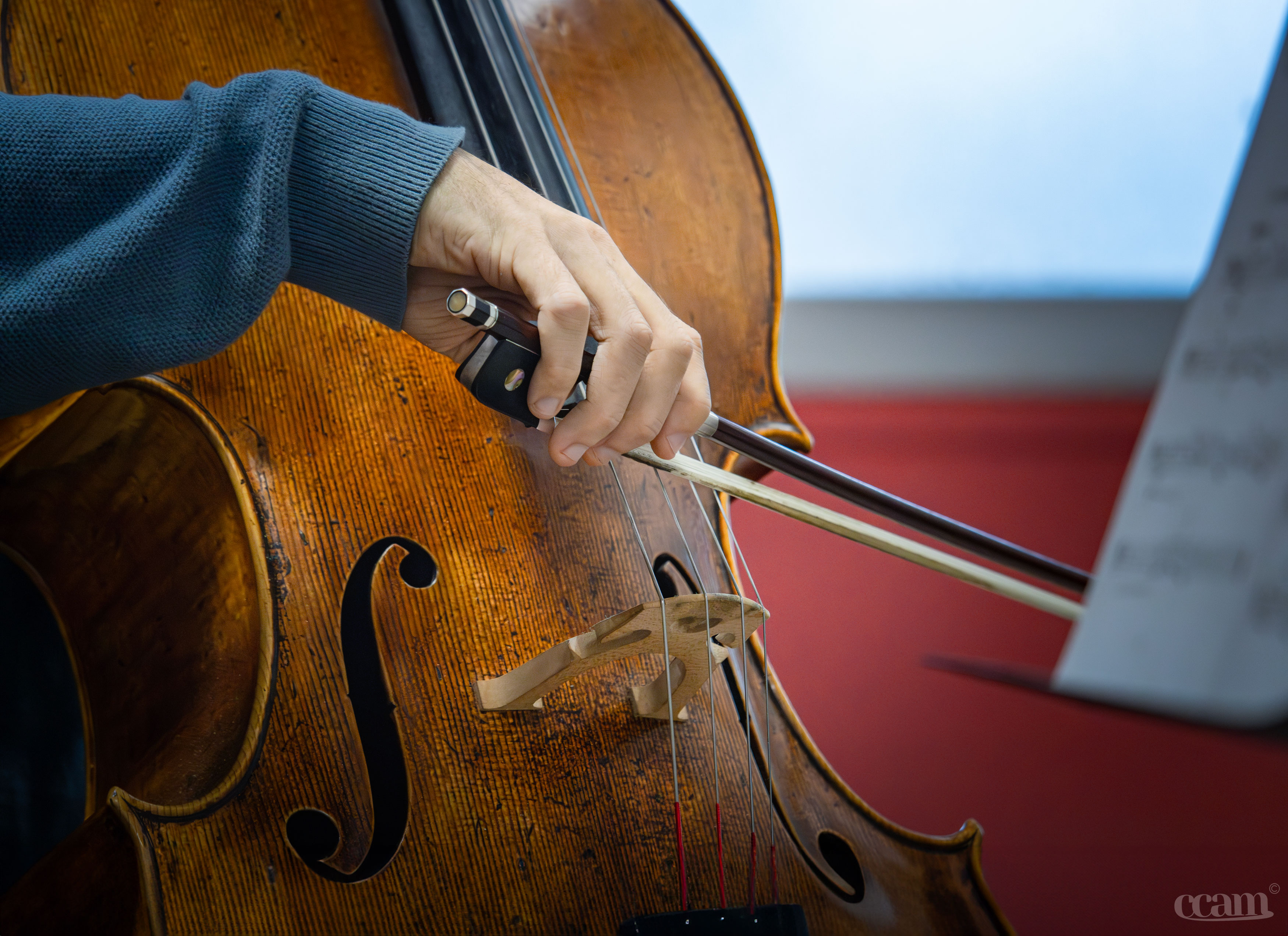 Une année musicale diversifiée et fructueuse pour l'école de musique intercommunale du Migennois !