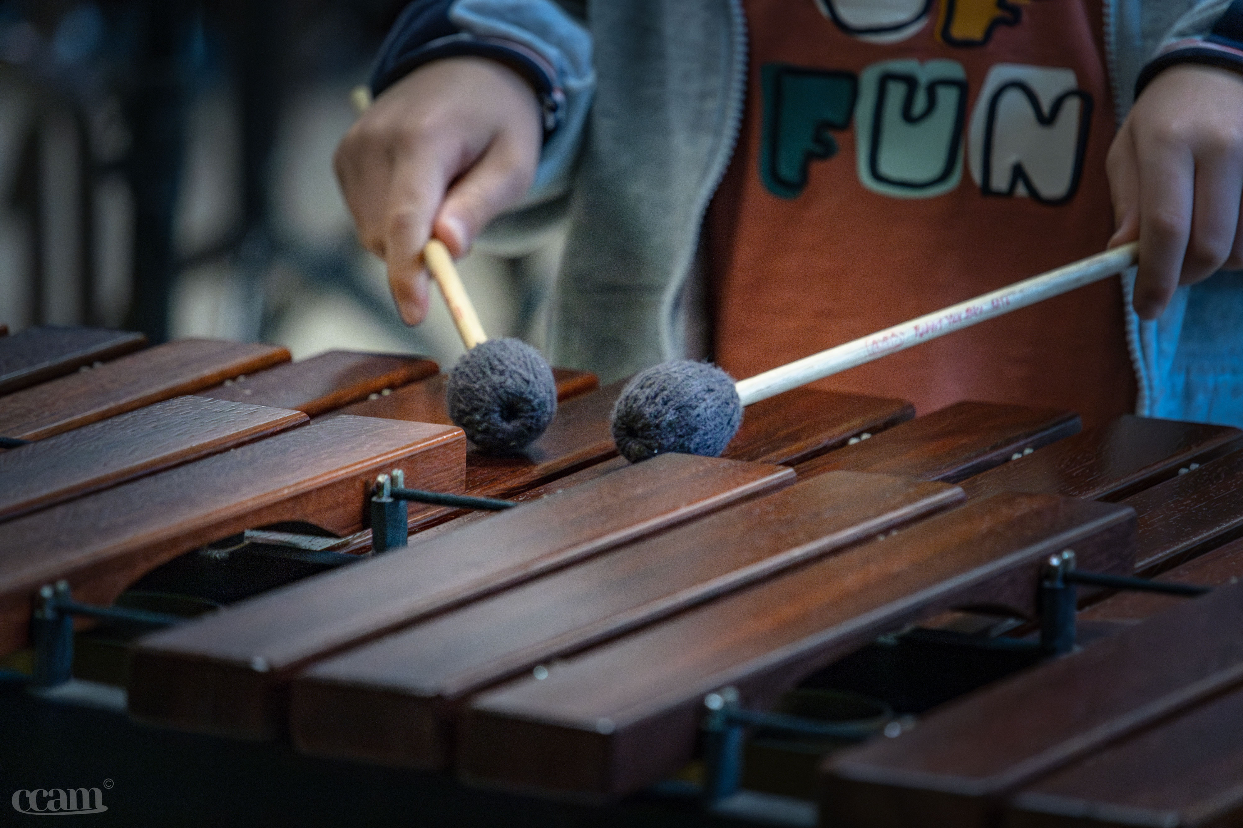 Une année musicale diversifiée et fructueuse pour l'école de musique intercommunale du Migennois !