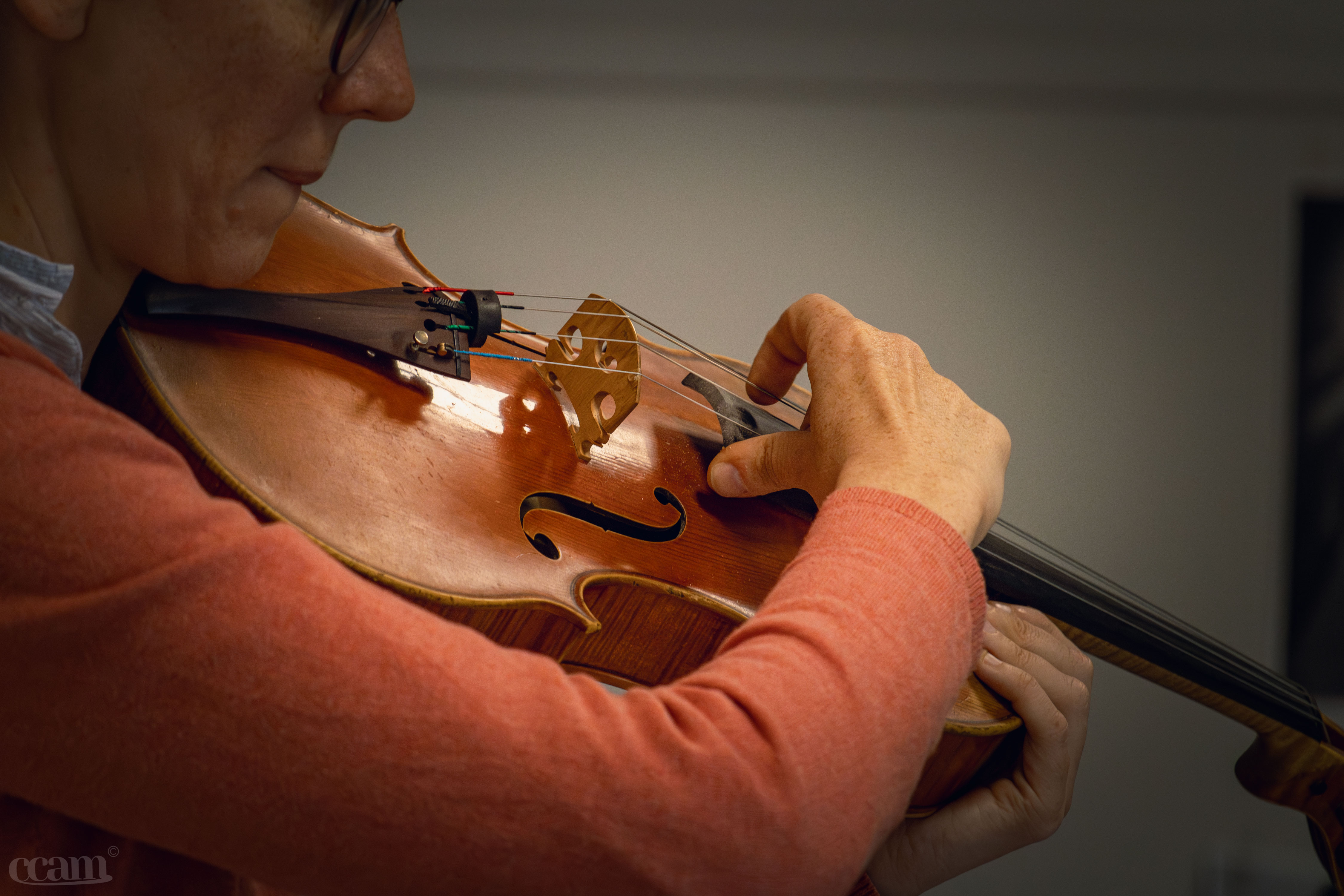 Une année musicale diversifiée et fructueuse pour l'école de musique intercommunale du Migennois !