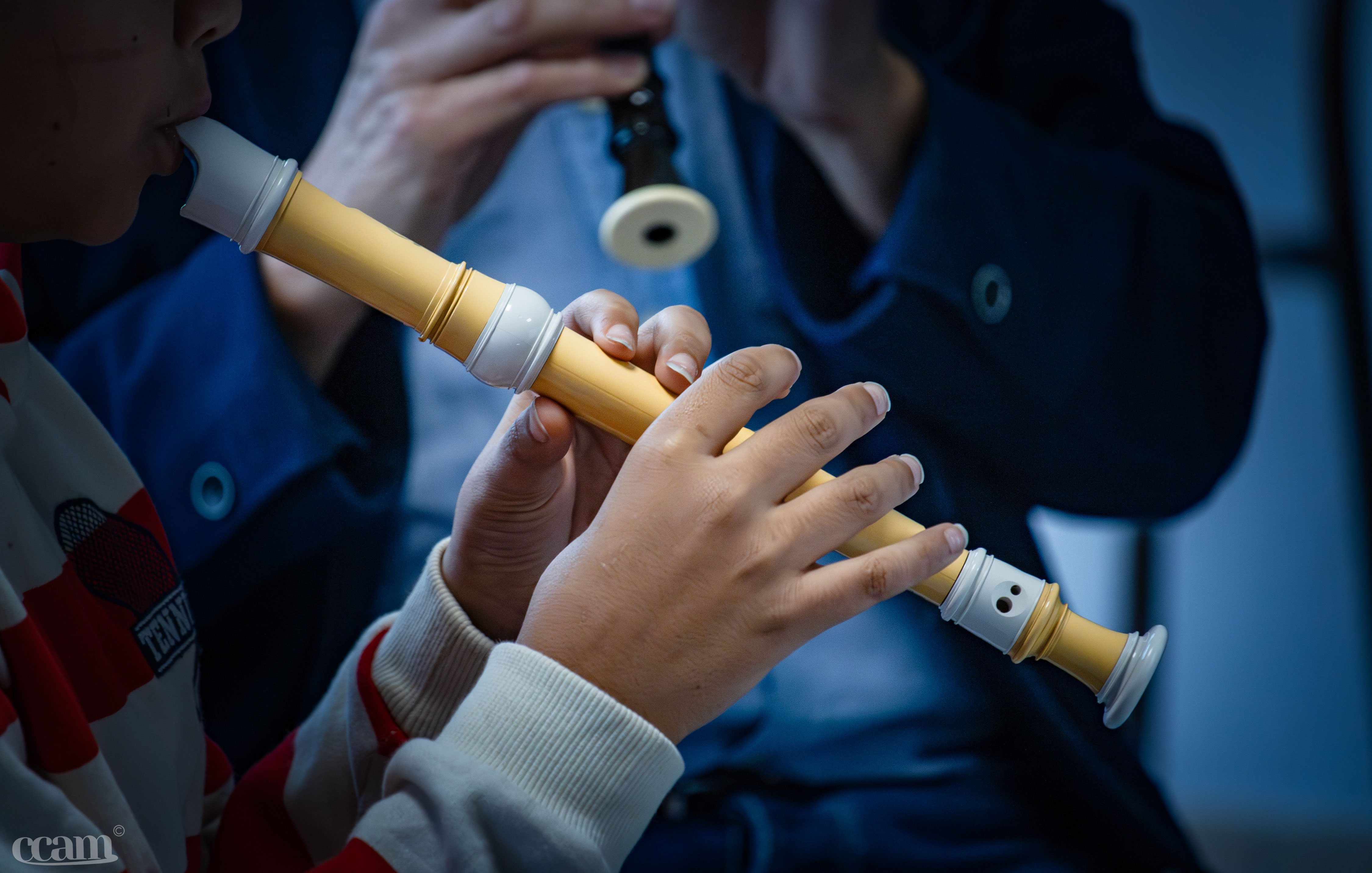 Une année musicale diversifiée et fructueuse pour l'école de musique intercommunale du Migennois !